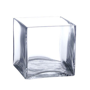 Square Glass Vase 4x4